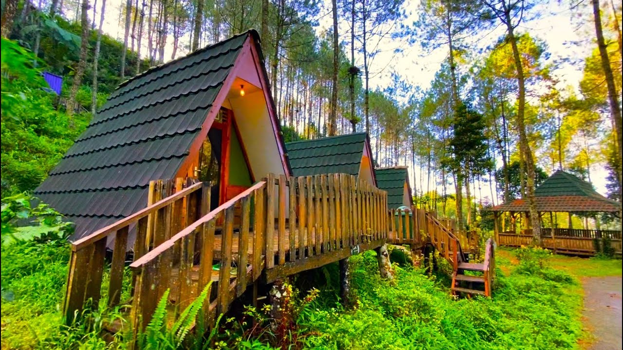 Telomoyo Nature Park: Menikmati Pesona Alam Pegunungan